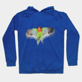 Angel lovebird Hoodie